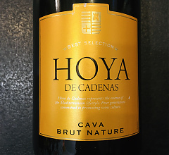 Hoya Brut Nature Cava